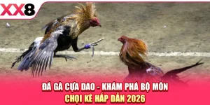 Đá Gà Cựa Dao - Khám Phá Bộ Môn Chọi Kê Hấp Dẫn 2026